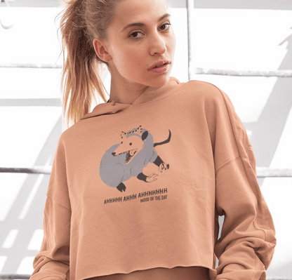 This is The Remix Cropped Sweatshirt Mood Of The Day - Women's Cropped Hoodie