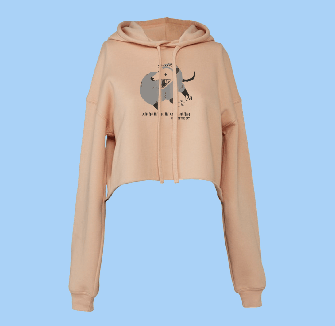 Mood Of The Day - Women's Cropped Hoodie – This is The Remix